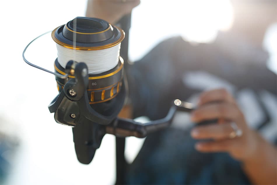 Penn Battle III VS Daiwa BG: What's the Difference? Comparison and Review 